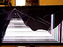 My wife picked up a TV  |  I hate to burst your bubble, but guess what. If you lived in the country, you...
