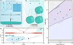 Strings that can vibrate forever (almost) |  Strings that can vibrate forever (kind of)  ...