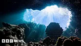 Re: More signs of life on Mars? | &laquo; previous thread