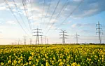 Prognozowanie zużycia energii przez PGE? |  Przepraszam jeżeli NTG ale grupy o energetyce nie znalazłem.  Moim dostawcą...