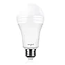 EverBright Bulb  |   This topic drift to the issue of questionable patents reminds me of my  own...