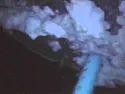 USB endoscope review  |  I finally got this endoscope after 33 days, from China via dog sled....