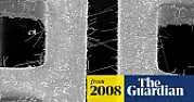 Lead free solder - exposed in a UK national newspaper |  http://www.guardian.co.uk/technology/2008/apr/03/research.engineeringWithin a...