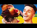Sono preoccupato per il sig. El ciula  |  ha scritto: Il gallo non fa testo. Non fa le uova. --  ++ |   togliere virus lo...