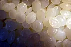Polymorph Plastic Pellets? |  These Polymorph plastic pellets look...