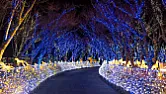 Bicycle generators and LED lights |  Most are 6v and 3W. They generate the 3W from a very low speed. This is because...
