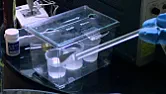 Silicon samples  |  The trick is to get an actual ohmic contact versus a Schotky, not to mention ...