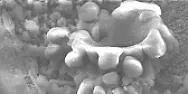 Cold Fusion explained - it may have been a nuclear reaction but it wasn't fusion.  |  My IEEE e-mails included an interesting link for once....