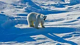EXXON Always Knew AGW Was Real...  |  ...and dangerous, and fossil fuels were the problem. All they ever wanted was to...