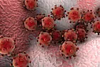 An Ancient Virus May Be Responsible for Human Consciousness  | &laquo; previous thread