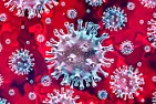 WHO To Investigate Italian Findings Of Early COVID-19 Presence In Italy  |  The World Health Organization said Monday that it would contact the researchers...