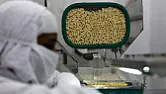 Generic Drugs, There's A Reason They're So Cheap  |  es lots and lots of in-process testing. ronicles, heart transplant patients...