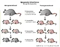 Lamarck's Revenge  | ...