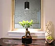 Disagree with wife over bulb temp, Help  |  I think you will find they are dimmable with "most" or "some" dimmers.  I bought...