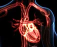 Coronavirus and the Heart  |  omatic doesn't mean it actually was. The majority don't have a clue...